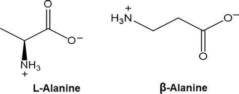 beta alanine wiki